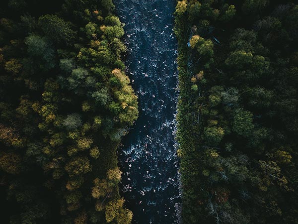 Egestas Egestas Fringilla Phasellus Faucibus Scelerisque Egestas Egestas Fringilla Phasellus Faucibus Scelerisque