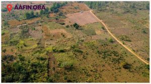 AAFIN OBA luxury land for sale in Ibadan Oyo State Nigeria 