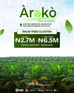 Arako Palm tree investment cluster available for sale 