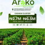 Arako Cashew investment cluster available for sale