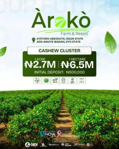 Arako Cashew investment cluster available for sale 