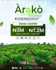 Arako cocoa investment cluster available for sale 