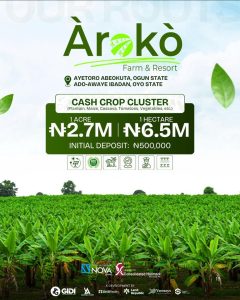 Arako cash crop estate investment cluster available for sale 