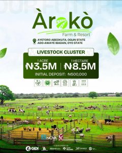 Aroko Livestock cluster investment property available for sale 