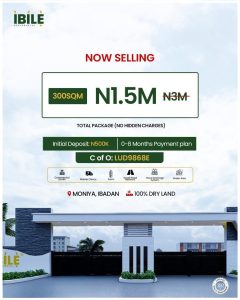 300SQM Affordable Land for Sale in Ibadan