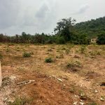 Vast plots of lands for sale