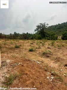 Vast plots of lands for sale