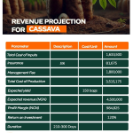 Farm City Ogun State - Buy 1 Acre or 1 Hectare of Land and invest in Cassava