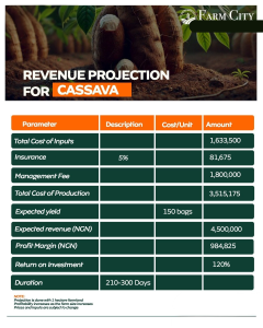 Farm City Ogun State - Buy 1 Acre or 1 Hectare of Land and invest in Cassava 