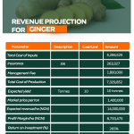 Farm City - Buy 1 Acre or 1 Hectare of Land and invest in Ginger