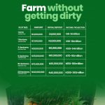 Palm Crest II investment in Ogun State