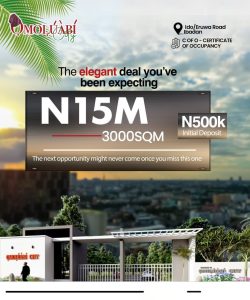 Omoluabi Estate Affordable Land 3009 SQM Plots of land for sale in Ibadan Oyo State Nigeria. Profitable real estate investment in Nigeria 