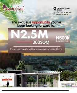 Omoluabi Estate Affordable Land 300 SQM Plots of land for sale in Ibadan Oyo State 