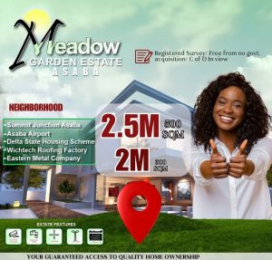 Meadow Garden Estate Asaba - Affordable Residential and Commercial Plots of Land for Sale in Delta State Nigeria 
