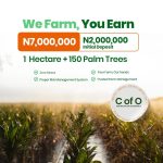 Palm Crest II investment in Ogun State. 1 Hectare Agric Investment in Ogun State