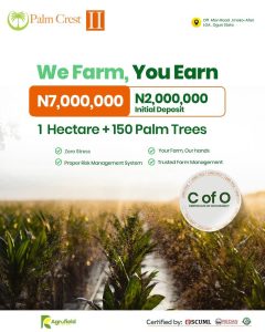 Palm Crest II investment in Ogun State. 1 Hectare Agric Investment in Ogun State 