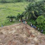 Affordable land for sale in Ijebu-Ode - Apex Gardens