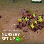 Palm City Moniya Agricultural real estate investment opportunity in Oyo State Nigeria