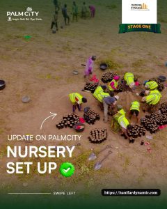 Palm City Moniya Agricultural real estate investment opportunity in Oyo State Nigeria