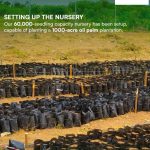 Palm City Moniya Agricultural real estate investment opportunity in Oyo State