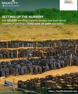 Palm City Moniya Agricultural real estate investment opportunity in Oyo State