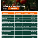 Farm City - Buy 1 Acre or 1 Hectare of Land and invest in Tomato