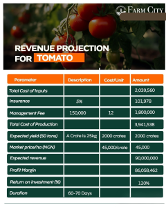 Buy 1 Acre or 1 Hectare of Land and invest in Tomato 