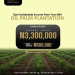Palmrich Estate Phase 8 - Agro Real Estate Investment Property for Sale in Ogun State